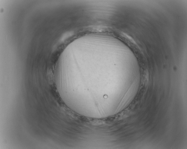 X0000083991446200703021927