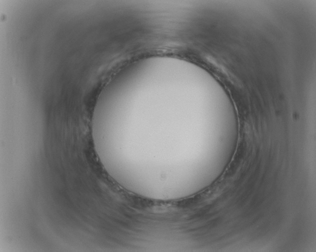 X0000083991447200703021926