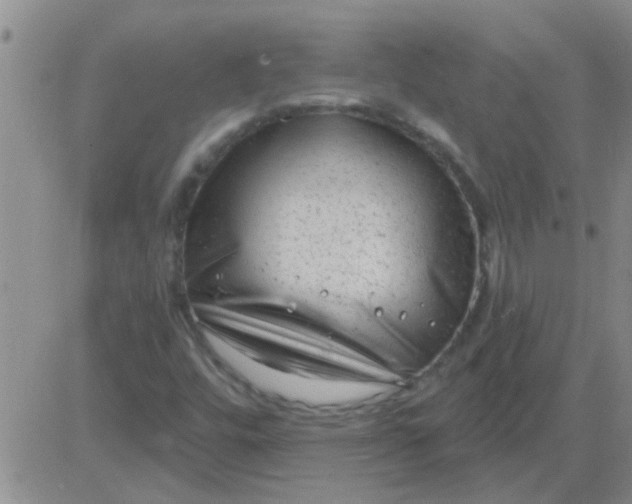 X0000083991448200703021926