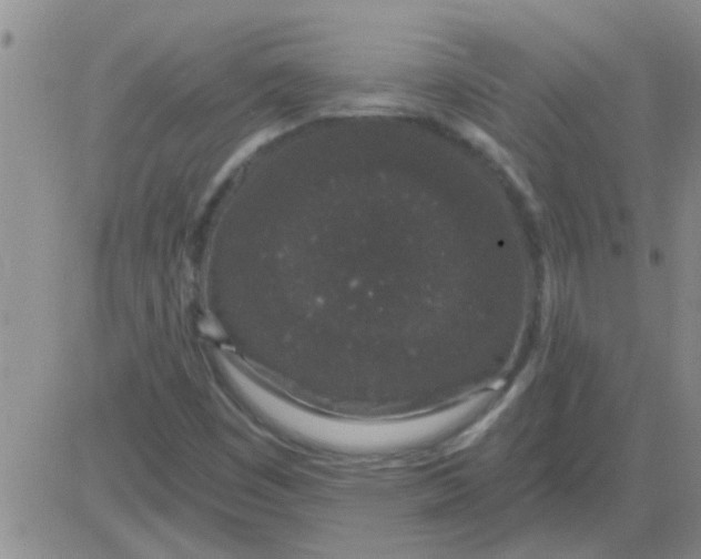 X0000083991449200703021926