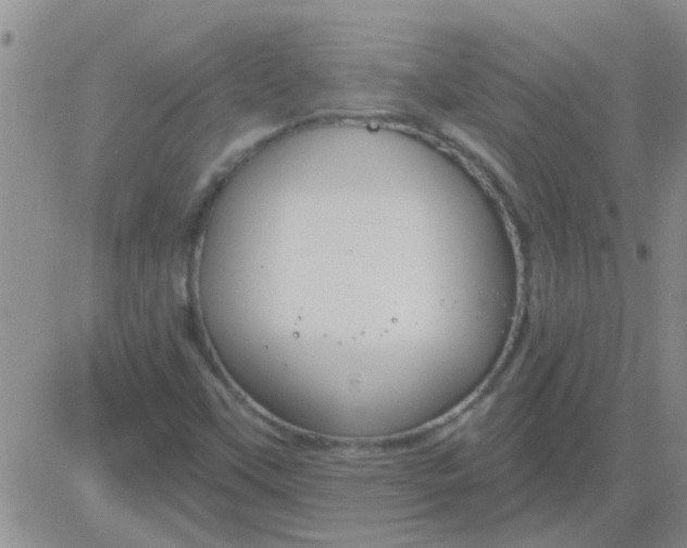 X0000083991451200703021926