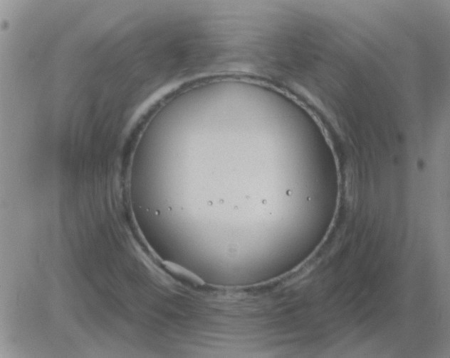 X0000083991452200703021926