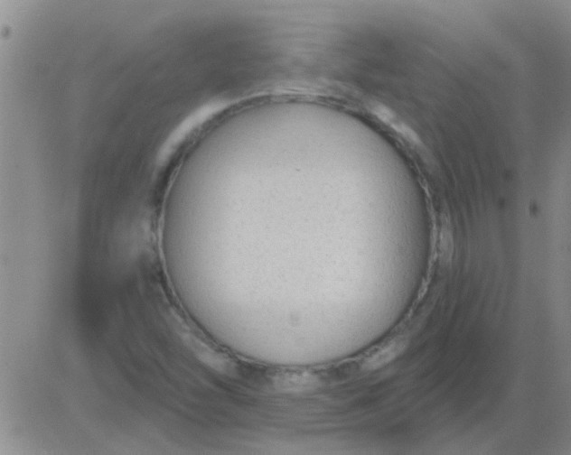 X0000083991454200703021926