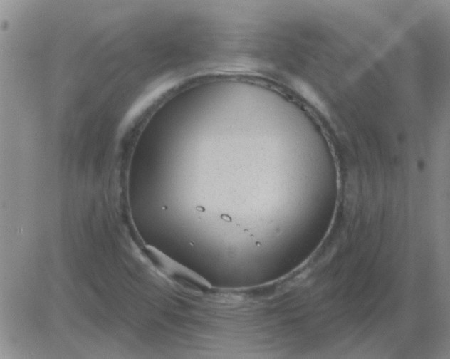 X0000083991456200703021926