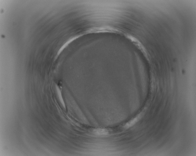 X0000083991457200703021926