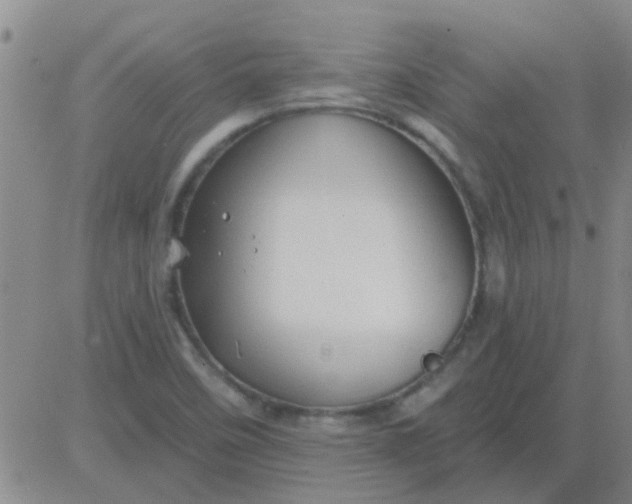 X0000083991458200703021926