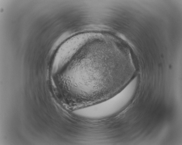 X0000083991459200703021926