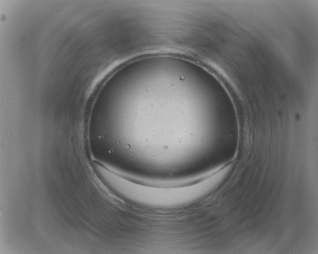 X0000083991460200703021926