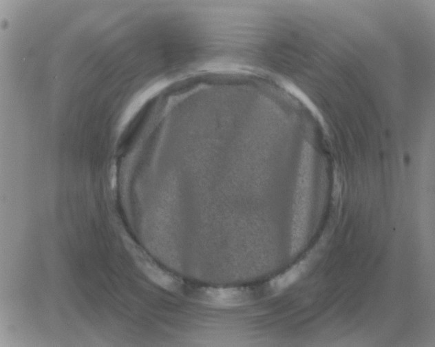 X0000083991461200703021926