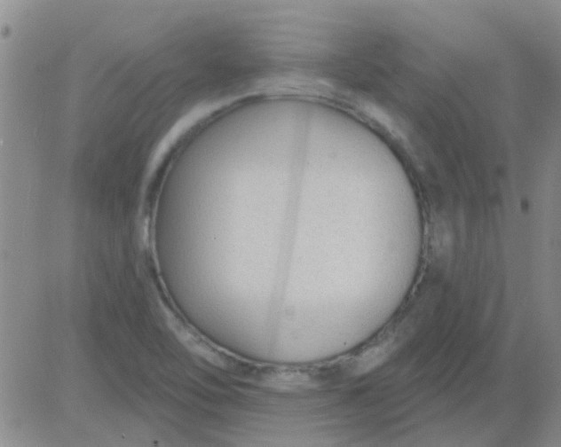 X0000083991462200703021926