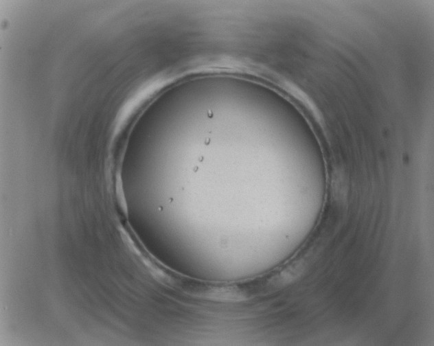 X0000083991464200703021926