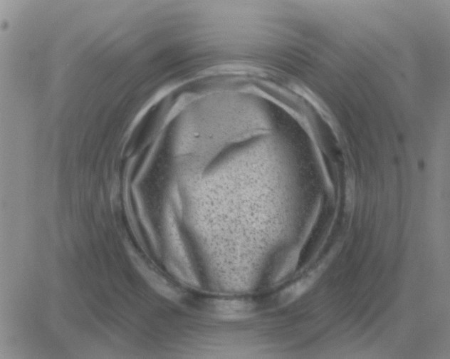 X0000083991465200703021926