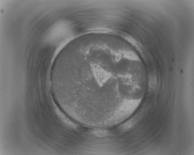 X0000083991466200703021926