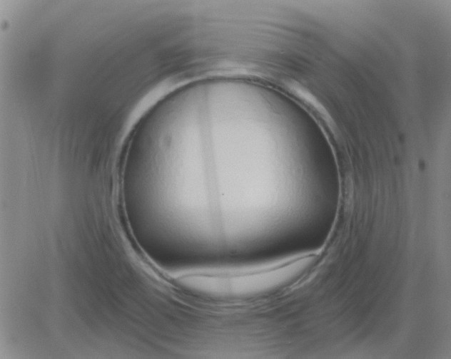 X0000083991467200703021926