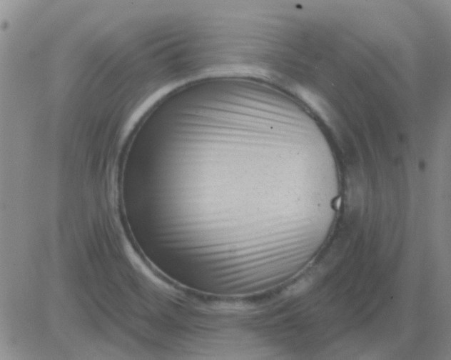 X0000083991468200703021926