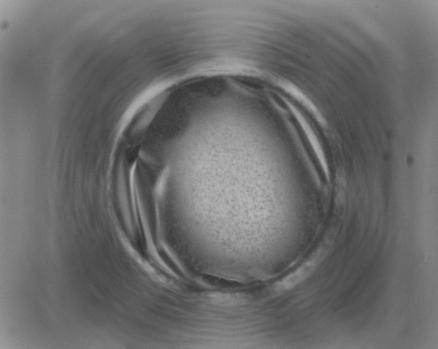 X0000083991469200703021926