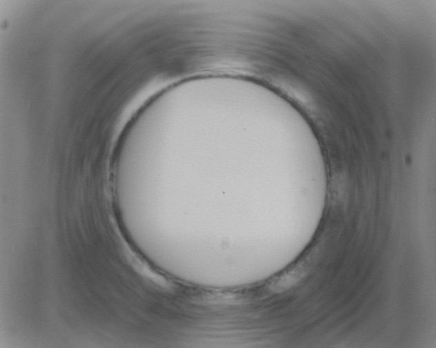 X0000083991470200703021926