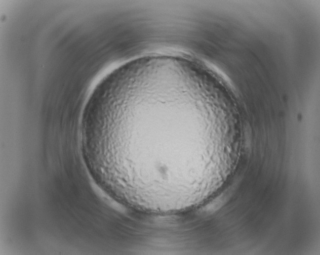 X0000083991471200703021926