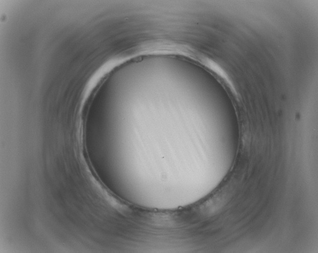 X0000083991472200703021926