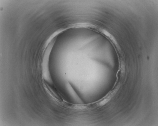 X0000083991473200703021926