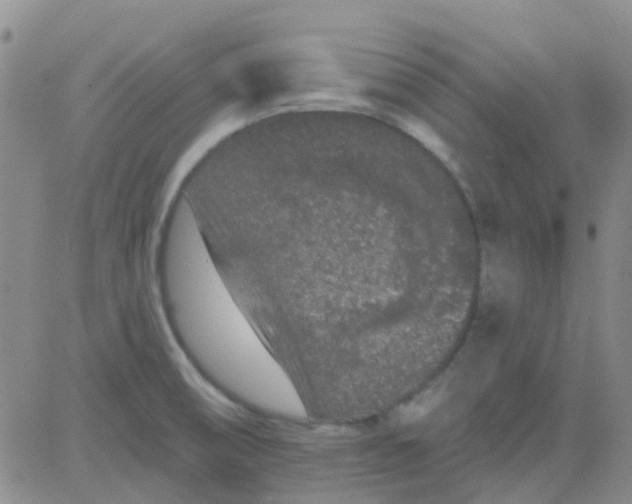 X0000083991474200703021926