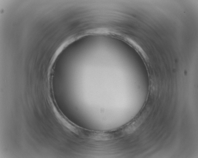 X0000083991475200703021926