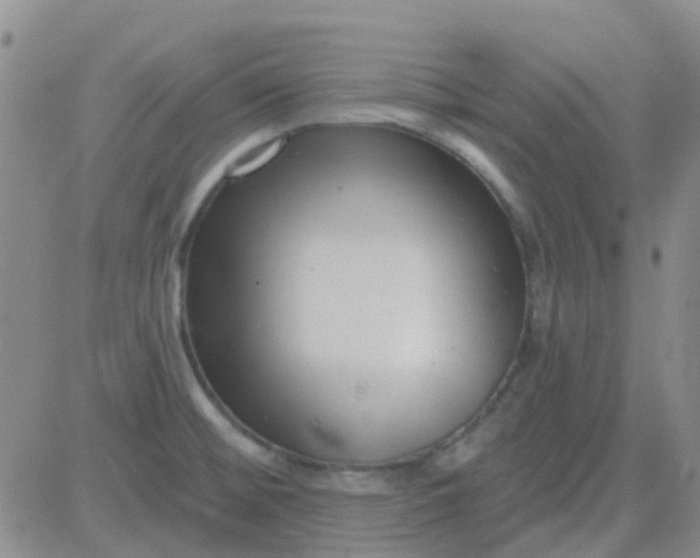 X0000083991476200703021926