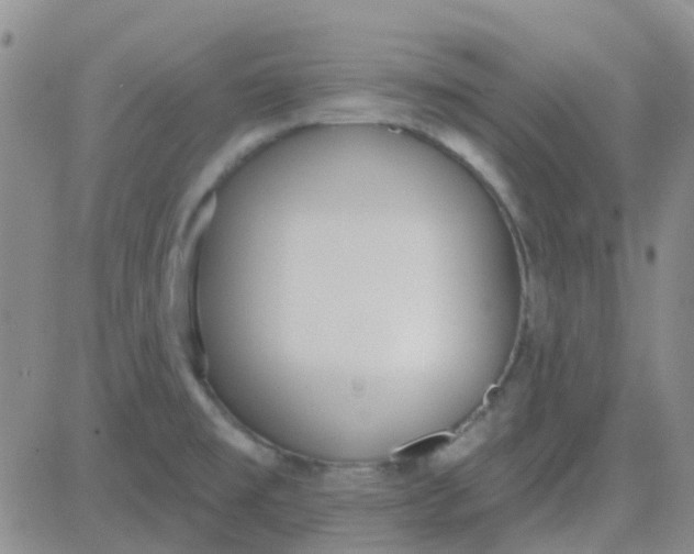 X0000083991477200703021926