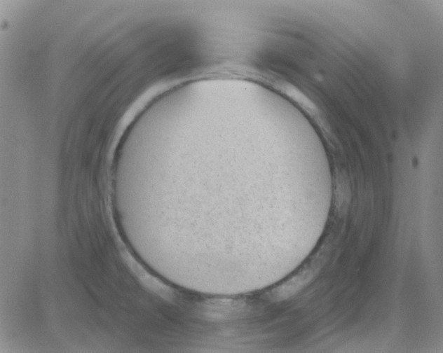 X0000083991478200703021926