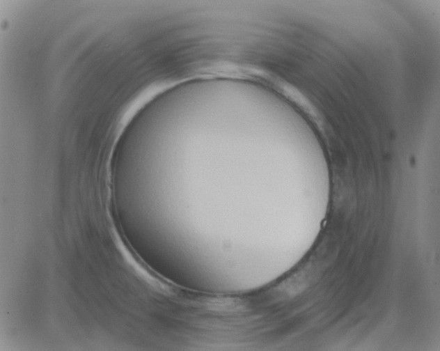 X0000083991479200703021926