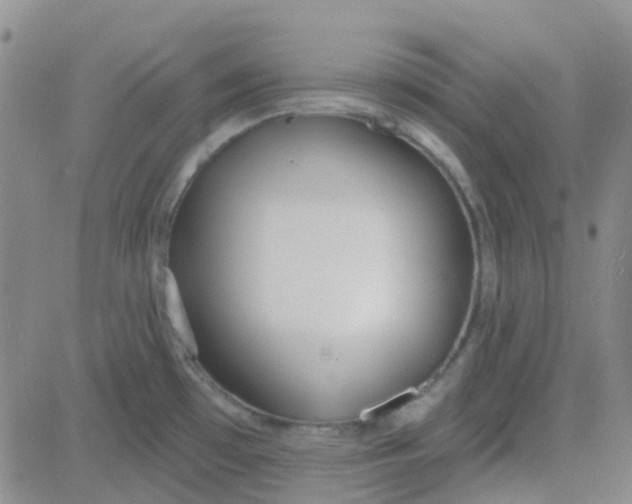 X0000083991481200703021926