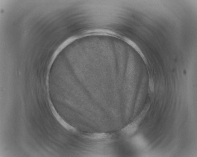 X0000083991482200703021926