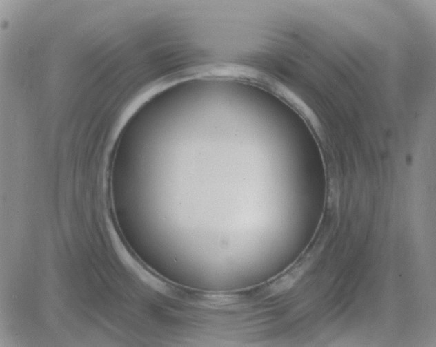 X0000083991483200703021926