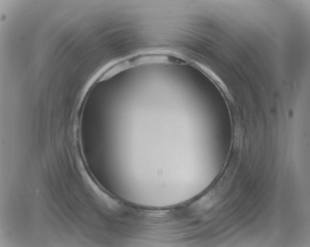 X0000083991484200703021926