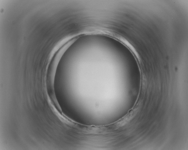 X0000083991485200703021926