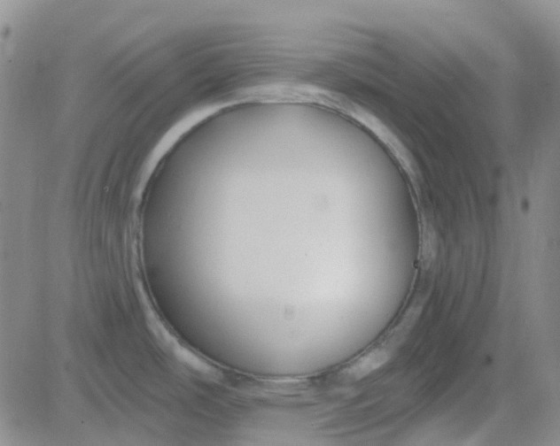 X0000083991486200703021926