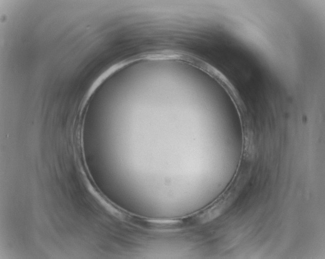 X0000083991487200703021926