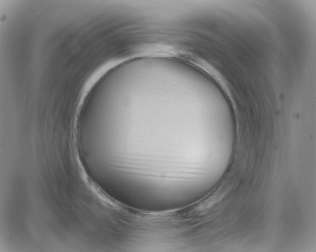 X0000083991488200703021926