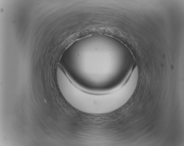 X0000083991489200703021925