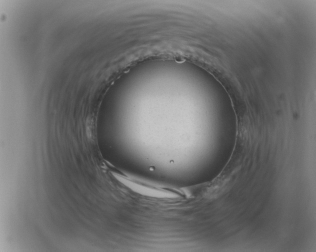 X0000083991490200703021925