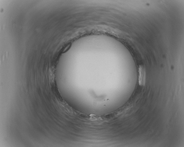 X0000083991491200703021925