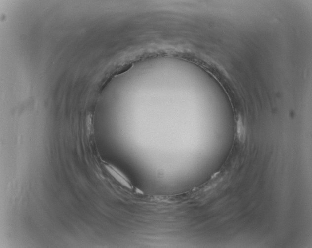 X0000083991492200703021925