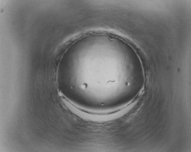 X0000083991494200703021925