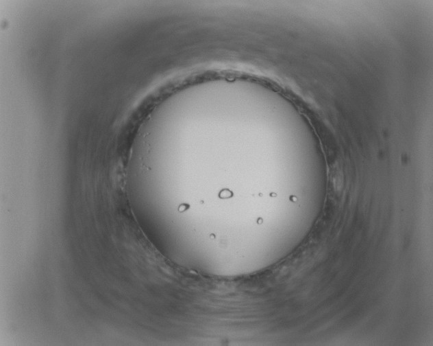 X0000083991495200703021925