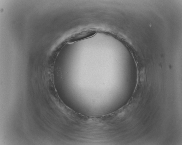 X0000083991496200703021925