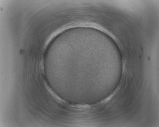 X0000083991498200703021925