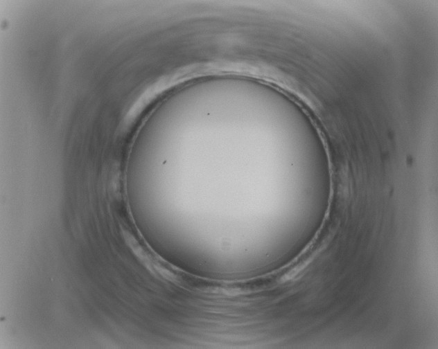 X0000083991499200703021925