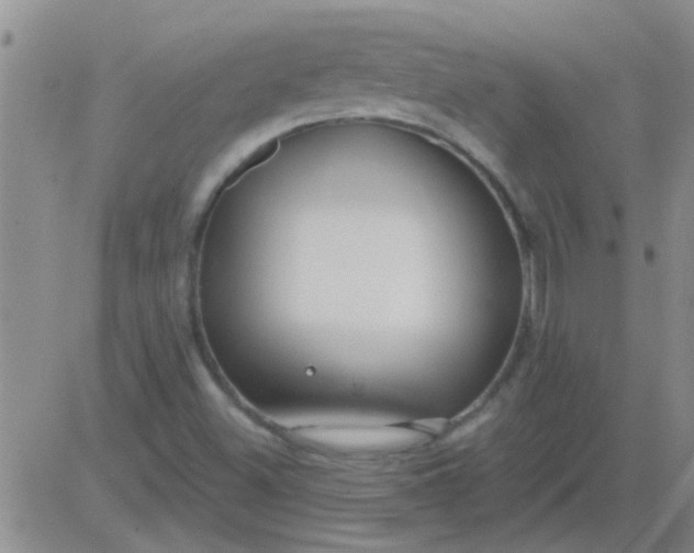 X0000083991500200703021925