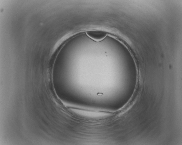 X0000083991501200703021925