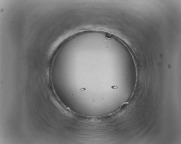 X0000083991503200703021925